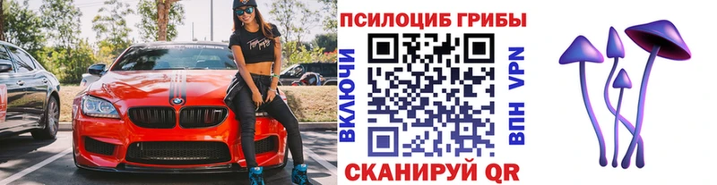 блэк спрут ссылка  Улан-Удэ  Псилоцибиновые грибы Cubensis 